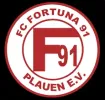 Fortuna 91