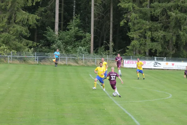 BSV 53 Irfersgrün gegen Blau-Gelb Mülsen