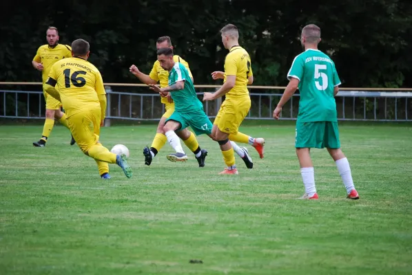 30.08.2025 SG Pfaffengrün vs. BSV53 Irfersgrün II
